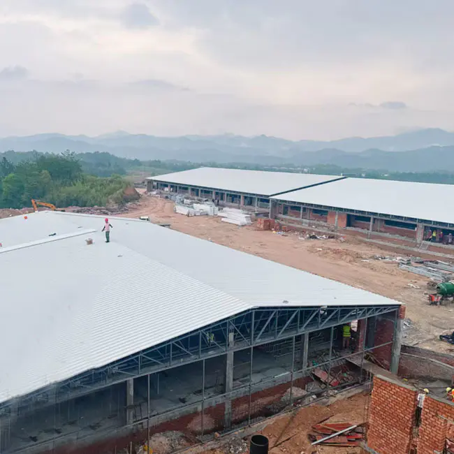 Steel Structure Livestock And Poultry Houses