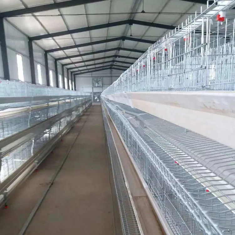 Steel Structure Livestock And Poultry Houses Steel Structure Livestock And Poultry Houses